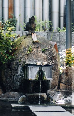 The mythical talismanic crow of the hot spring resort